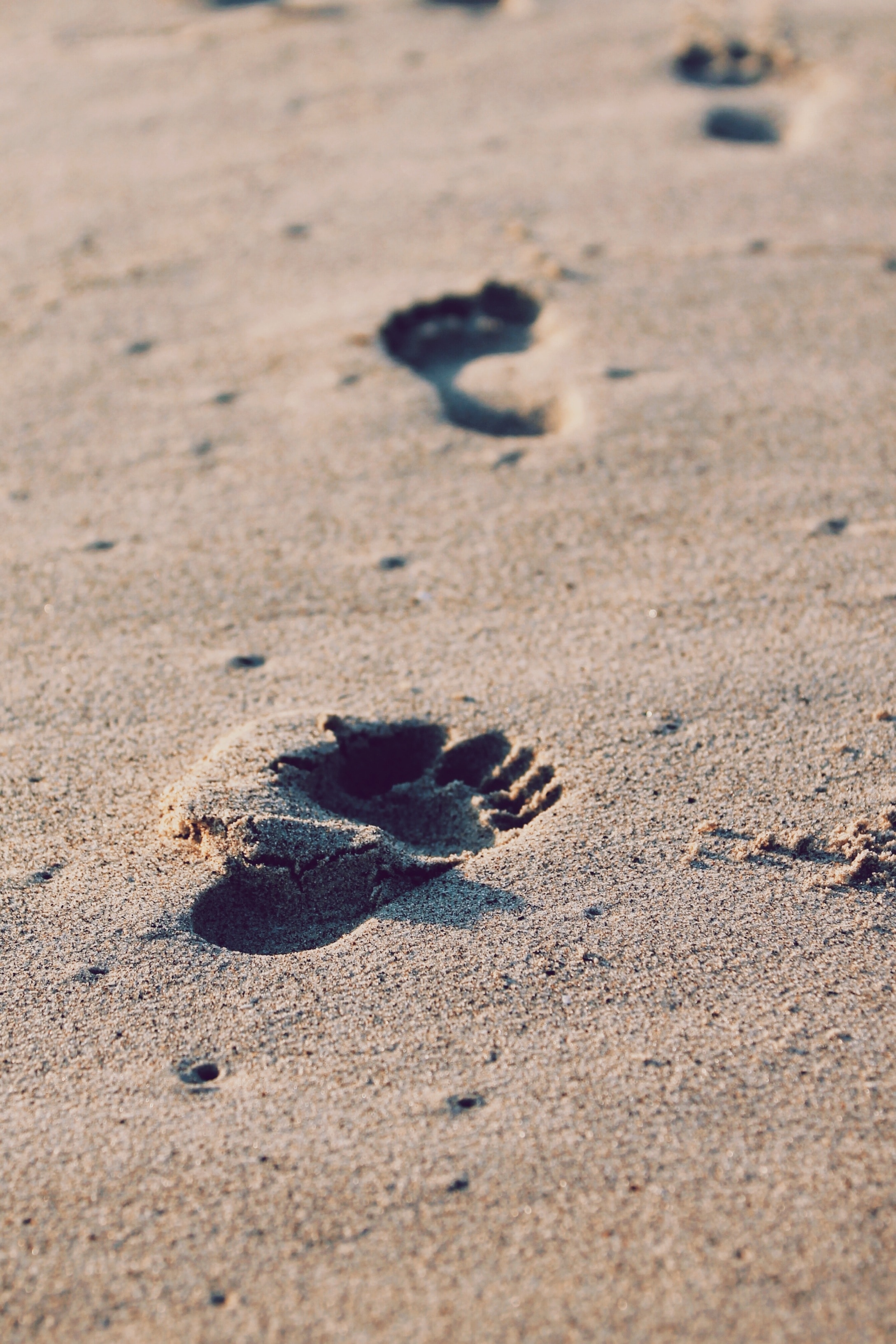 image of footsteps in sand