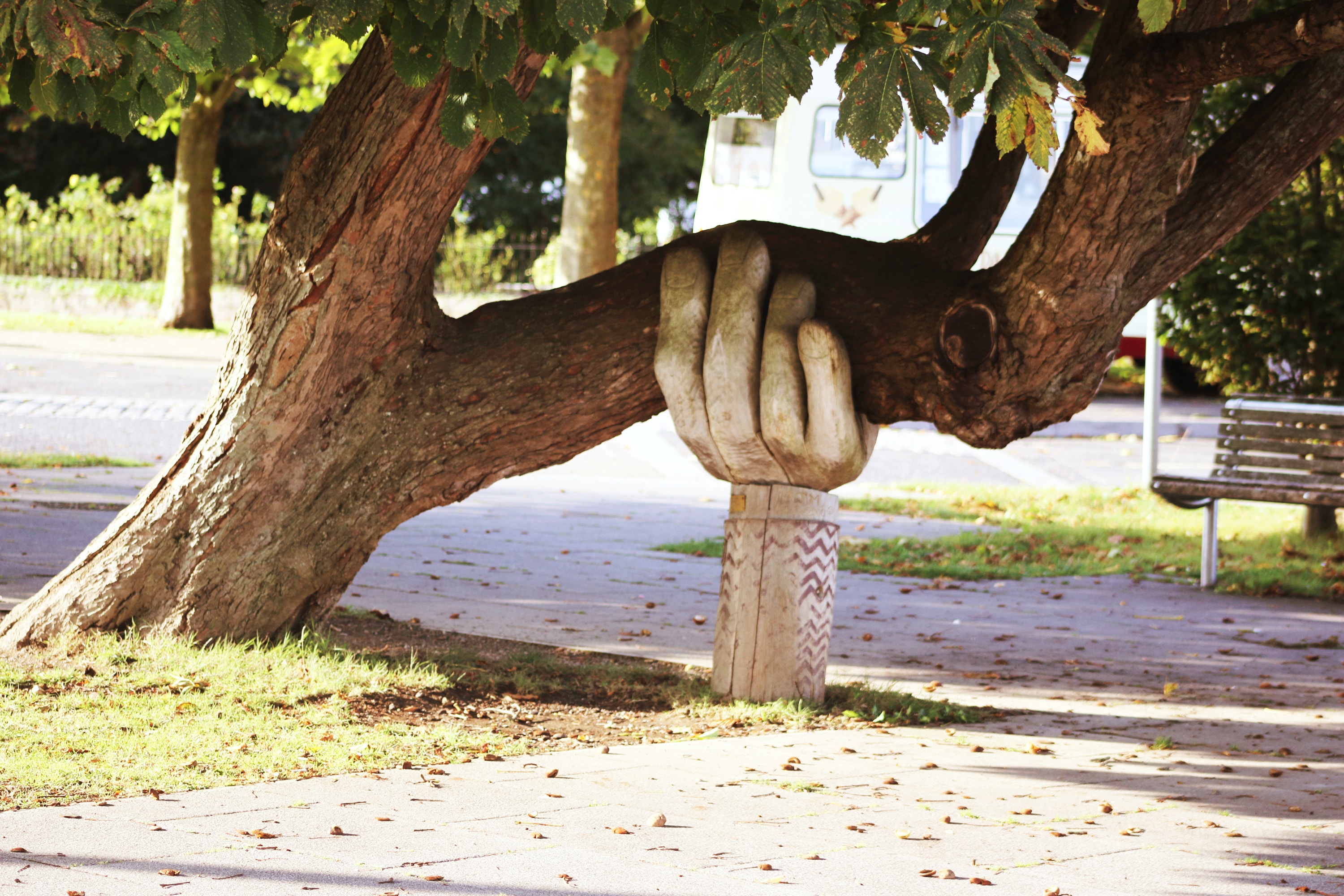 large wooden sculpture in the shape of a hand holds up a tree branch